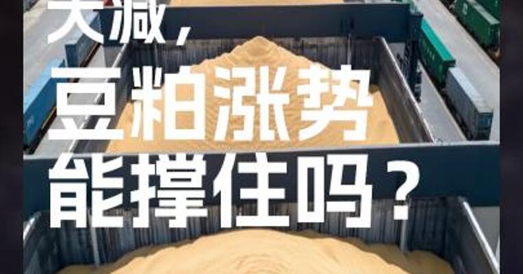 美豆面积大减， 豆粕涨势能撑住吗？