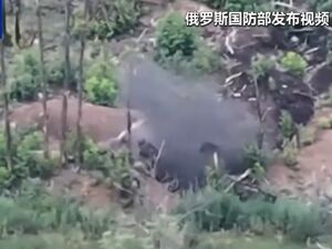 一乌军据点被俄方控制！白宫：普京承诺与泽连斯基会面！俄外长回应