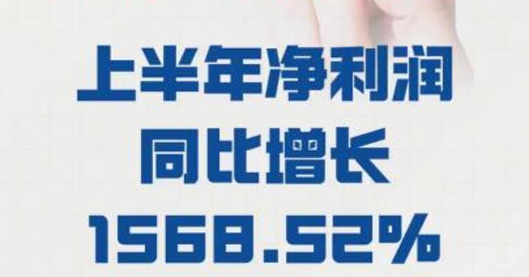 索通发展： 上半年净利润同比 增长1568.52%