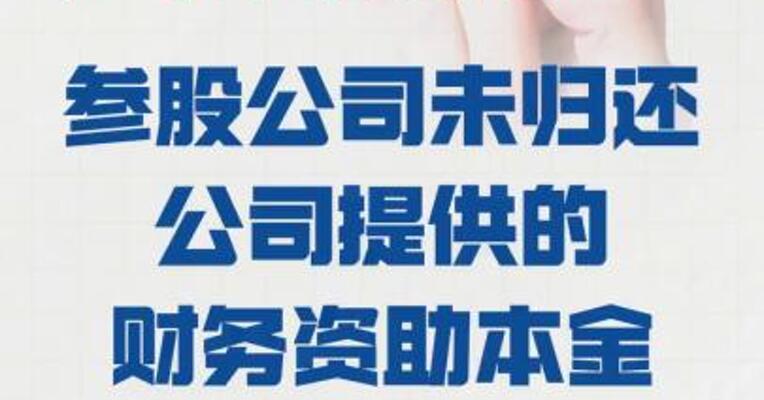 天禾股份：参股公司未归还 公司提供的财务资助本金 24.32万元及利息