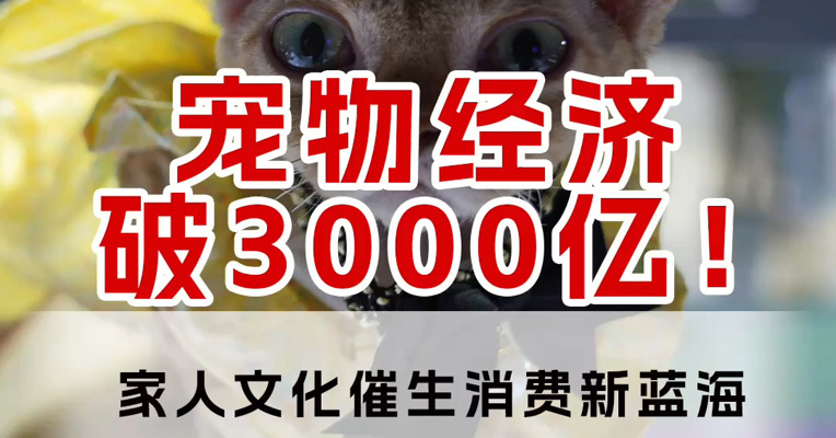 宠物经济破3000亿！家人文化催生消费新蓝海