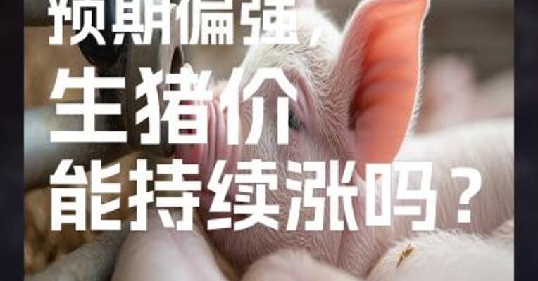 中长期预期偏强， 生猪价能持续涨吗？