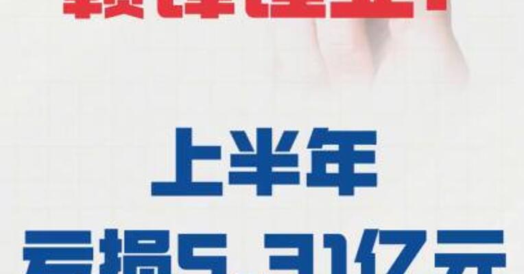 赣锋锂业： 上半年亏损5.31亿元