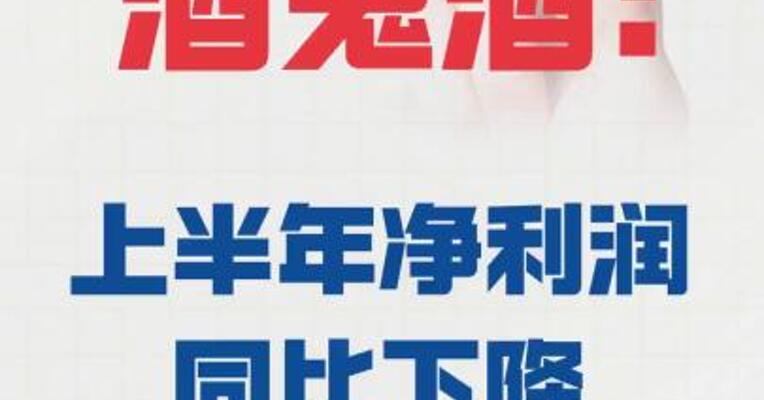 酒鬼酒：上半年净利润同比 下降92.6%