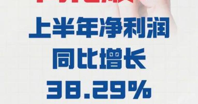 同花顺：上半年 净利润同比增长38.29%  拟10派1元