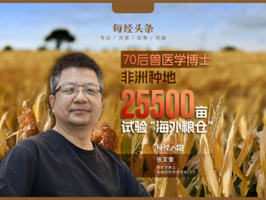 种出莫桑比克最大单体玉米田！独家揭秘：中国兽医学博士非洲种地，租2万余亩地试验“海外粮仓”