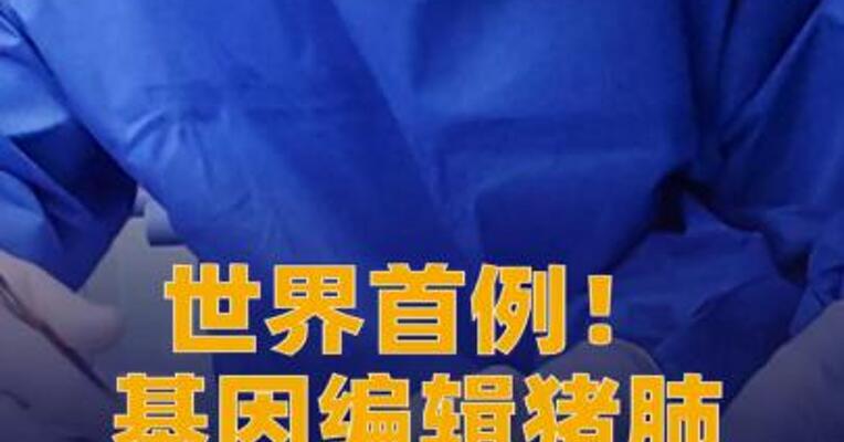 世界首例！ 基因编辑猪肺，成功移植人体