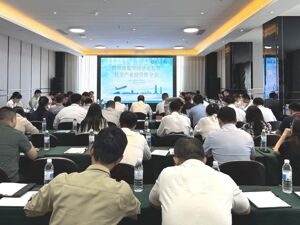 共话低空经济新机遇 简阳市低空经济论坛暨产业投资推介会举行
