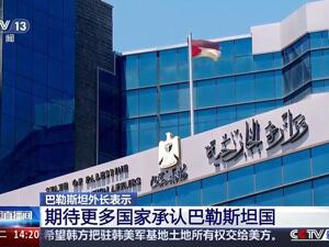 突发！德国拒绝承认巴勒斯坦国