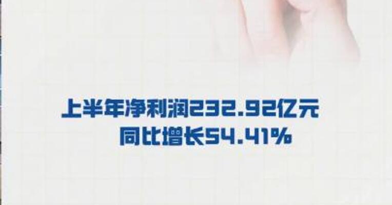 紫金矿业： 2025年上半年净利润 232.92亿元， 同比增长54.41%