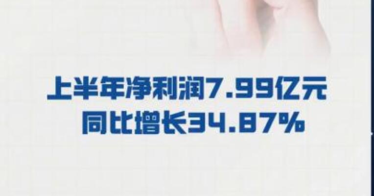 浪潮信息： 上半年净利润7.99亿元  同比增长34.87%