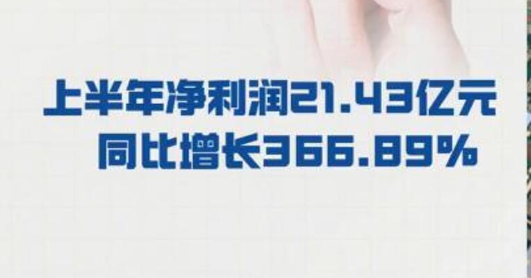 胜宏科技： 上半年净利润21.43亿元  同比增长366.89%