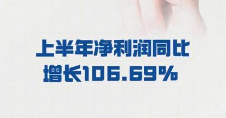 天海防务： 上半年净利润同比增长 106.69%
