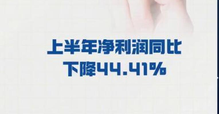 恒宝股份： 上半年净利润同比下降 44.41%