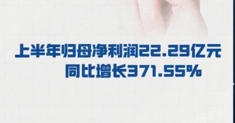 光线传媒：上半年 归母净利润22.29亿元， 同比增长371.55%