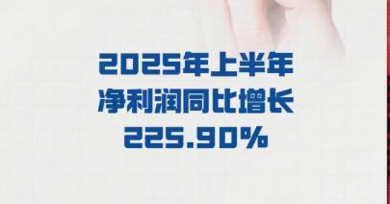 东北证券：2025年上半年净利润同比增长225.90%