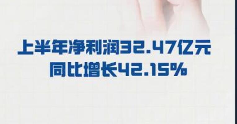 京东方A：上半年净利润32.47亿元  同比增长42.15%