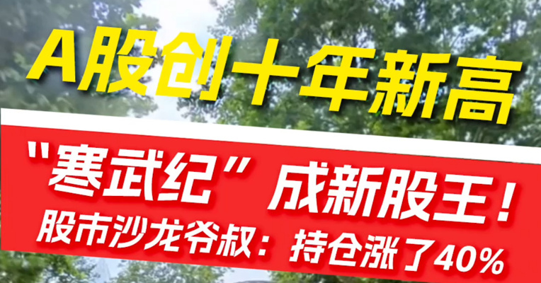 A股创十年新高“寒武纪”成新股王!股市沙龙爷叔:持仓涨了40%