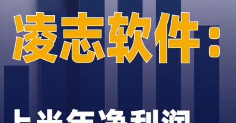 凌志软件：上半年净利润同比增长1002%