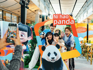 成都：守护熊猫家园 向世界递出“天府名片”