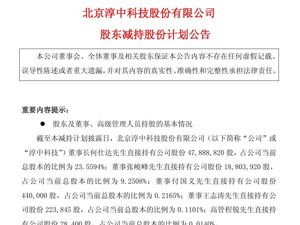 这家A股公司突然公告：董事长等多名股东拟减持股份！近一个多月股价大涨218%，上半年亏损4002万元