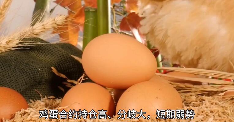 鸡蛋持仓高分歧大， 短期弱势会扭转吗？