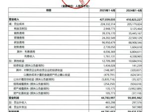 华为公布2025年上半年业绩：营收4270亿元，同比增长3.95%，净利润371亿元！已重夺手机市场第一