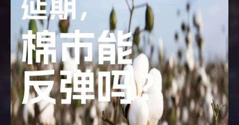 中美关税延期，棉市能反弹吗？