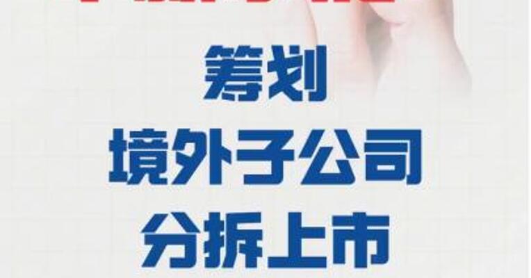 华新水泥： 筹划境外子公司分拆上市