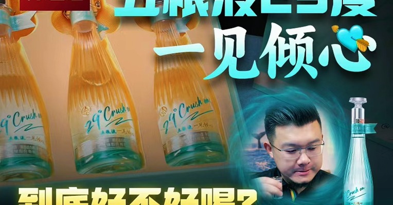 五粮液29度·一见倾心 到底好不好喝？