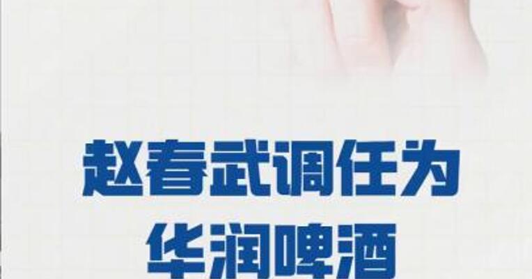 赵春武调任为 华润啤酒董事会主席