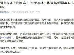 比亚迪发文：正式起诉，要求赔偿损失300万！