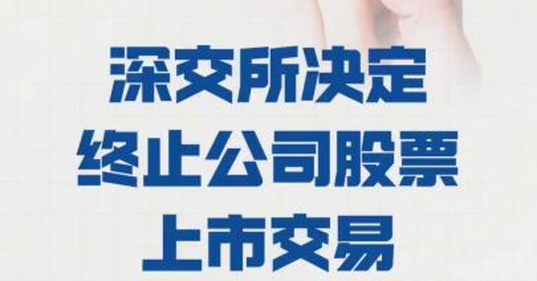 *ST紫天：深交所 决定终止公司股票上市交易