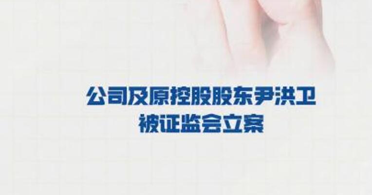 ST岭南： 公司及原控股股东尹洪卫 被证监会立案