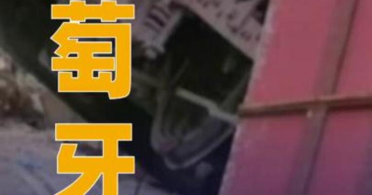 葡萄牙公布景点缆车事故原因：钢缆断裂 安装不到一年