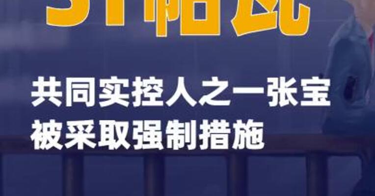ST帕瓦：共同实控人之一、董事张宝被采取强制措施