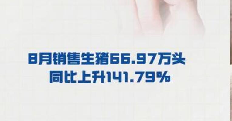 正邦科技： 8月销售生猪66.97万头  同比上升141.79%