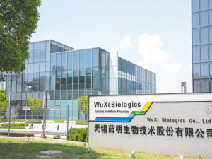 药明生物CEO陈智胜亲历中国创新药大爆发：以前跨国药企不太信任中国数据，但现在不同了