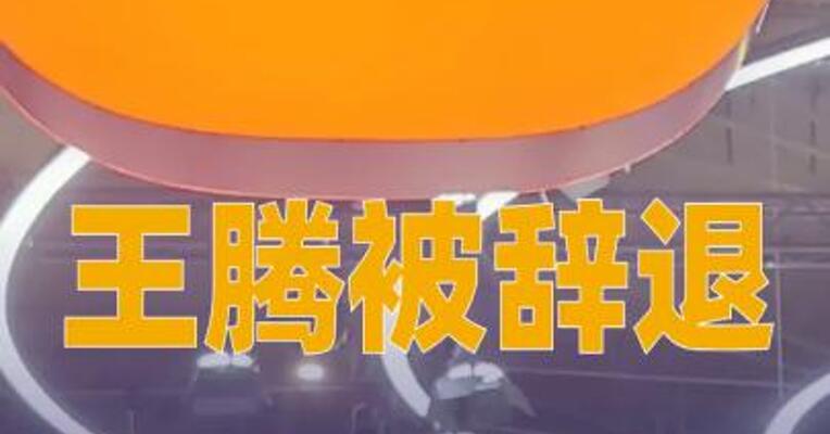 王腾被辞退因向外部机构提供小米汽车定价策略？ 知情人士：消息不实