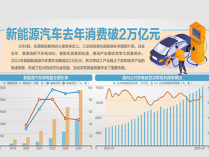 工信部就新能源汽车发展答每经问：产业非理性竞争问题还比较突出