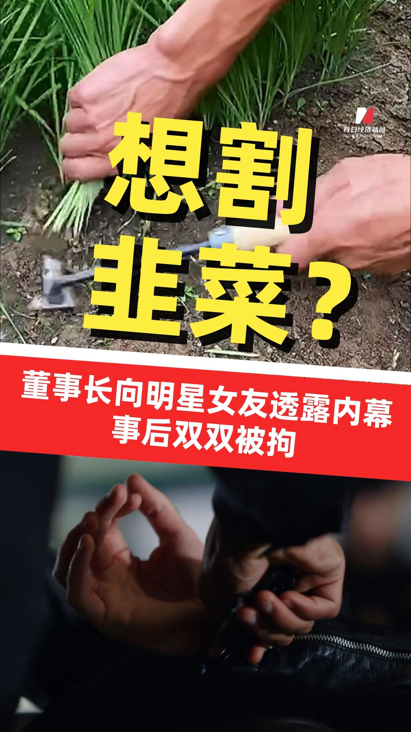公司董事長向明星女友透露內(nèi)幕消息 本想“割韭菜”卻因重組失敗虧損500萬 董事長及女友被刑事拘留