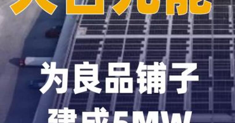 天合光能为良品铺子建成5MW 分布式光伏项目