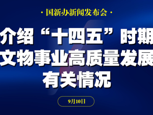 直播丨国新办举行新闻发布会