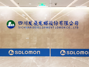 业绩说明会提及热点固态电池 川发龙蟒再次表示：磷酸铁锂可用于生产