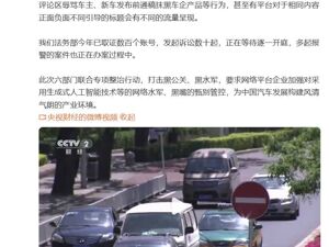 雷军：法务部今年已取证数百个账号，发起诉讼数十起！