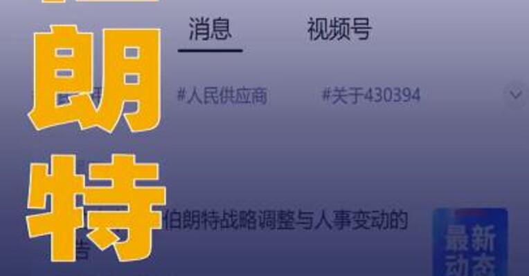 伯朗特董事长要求给自己发200万元月薪后被罢免