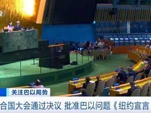 142票赞成、10票反对，联合国大会通过决议支持涉“两国方案”宣言！胡塞武装：使用高超音速导弹袭击以色列