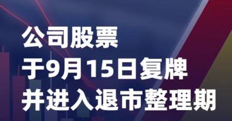 *ST紫天：公司股票于9月15日复牌并进入退市整理期