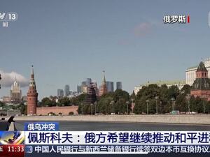 佩斯科夫：北约在与俄作战！梅德韦杰夫：若北约击落俄无人机，将意味着战争