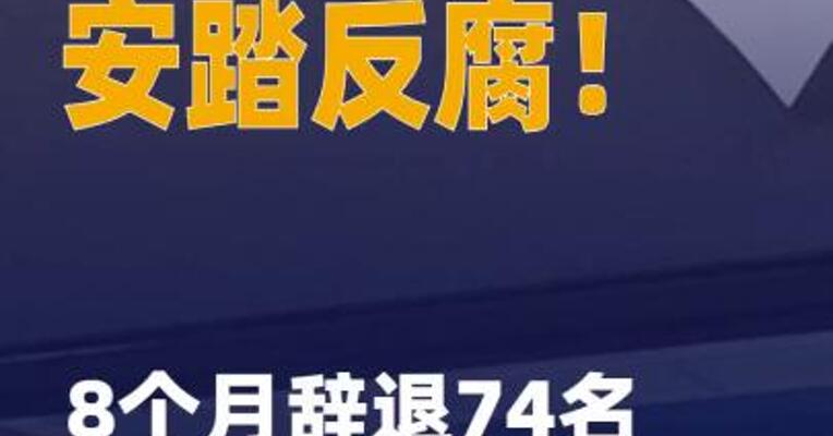 安踏反腐！8个月辞退74名 严重舞弊员工